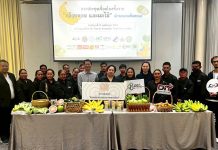 “โก โฮลเซลล์” เดินหน้ารับซื้อกล้วยหอมทองเกรดพรีเมี่ยม อ.เสิงสาง โคราชขานรับกรมการค้าภายใน ชูผลผลิตคุณภาพ หนุนเกษตรกร 250 ครัวเรือนมีรายได้