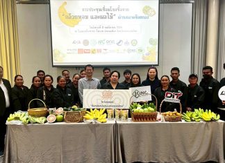 “โก โฮลเซลล์” เดินหน้ารับซื้อกล้วยหอมทองเกรดพรีเมี่ยม อ.เสิงสาง โคราชขานรับกรมการค้าภายใน ชูผลผลิตคุณภาพ หนุนเกษตรกร 250 ครัวเรือนมีรายได้