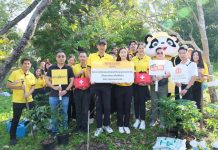 มิสเตอร์. ดี.ไอ.วาย. ปันความดี ร่วมกับ กทม. รวมพลังพนักงานและพันธมิตรทางธุรกิจเดินหน้าส่งต่ออากาศบริสุทธิ์ให้คนเมืองอย่างยั่งยืน เป็นปีที่ 2 ณ สวนป่าเบญจกิติ