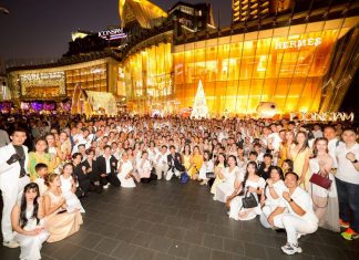 “ซัคเซสมอร์จัดงาน PRODUCT GRAND OPENING เหมาลำเรือหรูฉลองสุดเอ็กซ์คลูซีฟ ส่งท้ายปีด้วยความสำเร็จ เตรียมก้าวสู่ปีแห่ง Wellness & Longevity 2026”