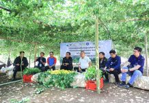 สวพส. ขยายองค์ความรู้ปรับระบบเกษตรบนพื้นที่สูง สู่เกษตรที่เป็นมิตรกับสิ่งแวดล้อม ลดการเผา แก้ปัญหา PM 2.5 อย่างยั่งยืนในอำเภอแม่แจ่ม