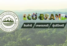 ECO-BRAND กาแฟใต้ร่มไม้ กับภารกิจคืนลมหายใจให้ผืนป่าและผู้คน