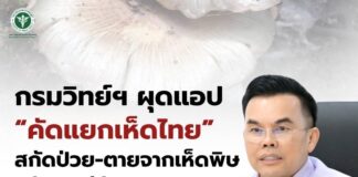 กรมวิทยาศาสตร์การแพทย์ ผุดแอป “คัดแยกเห็ดไทย” สกัดป่วย-ตายจากเห็ดพิษ หลังพบผู้ป่วยทะลุ 1.2 หมื่นราย