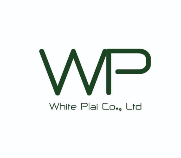 Logo White Plai